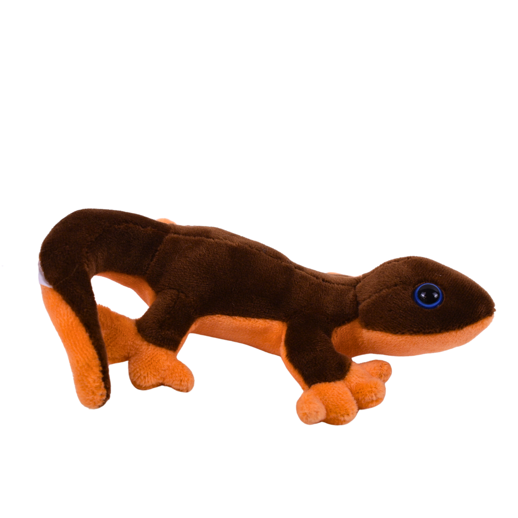 8" Newt