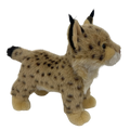 11" Bobcat / Agua Caliente Museum