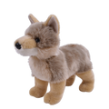 11" Coyote / Agua Caliente Museum