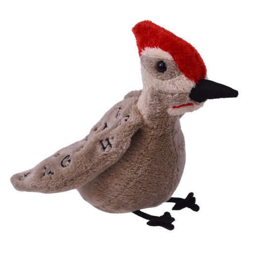 Bird Clan – Anitsisqua (ᎠᏂᏥᏍᏆ) Cherokee Nation Finger Puppet