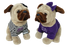 French Pugs