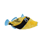 Outrigger Resorts Fish