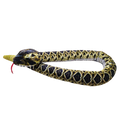 20" Prairie Rattlesnake, Black Hills Parks & Forests