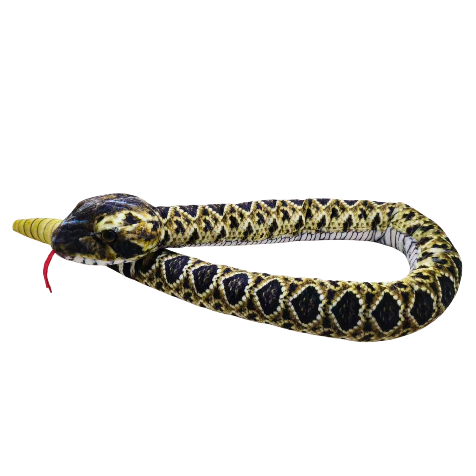 20" Prairie Rattlesnake, Black Hills Parks & Forests