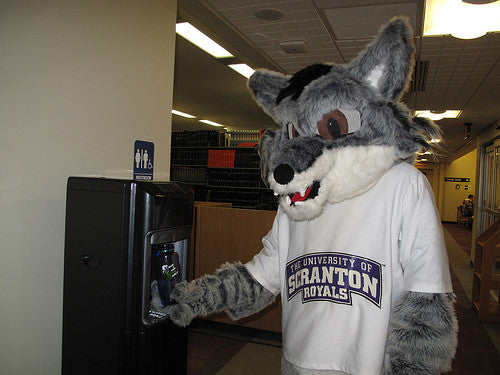 Iggy from University of Scranton