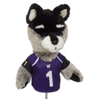 University of Washington Husky