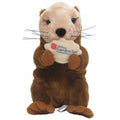 Hilton Garden Inn Otter