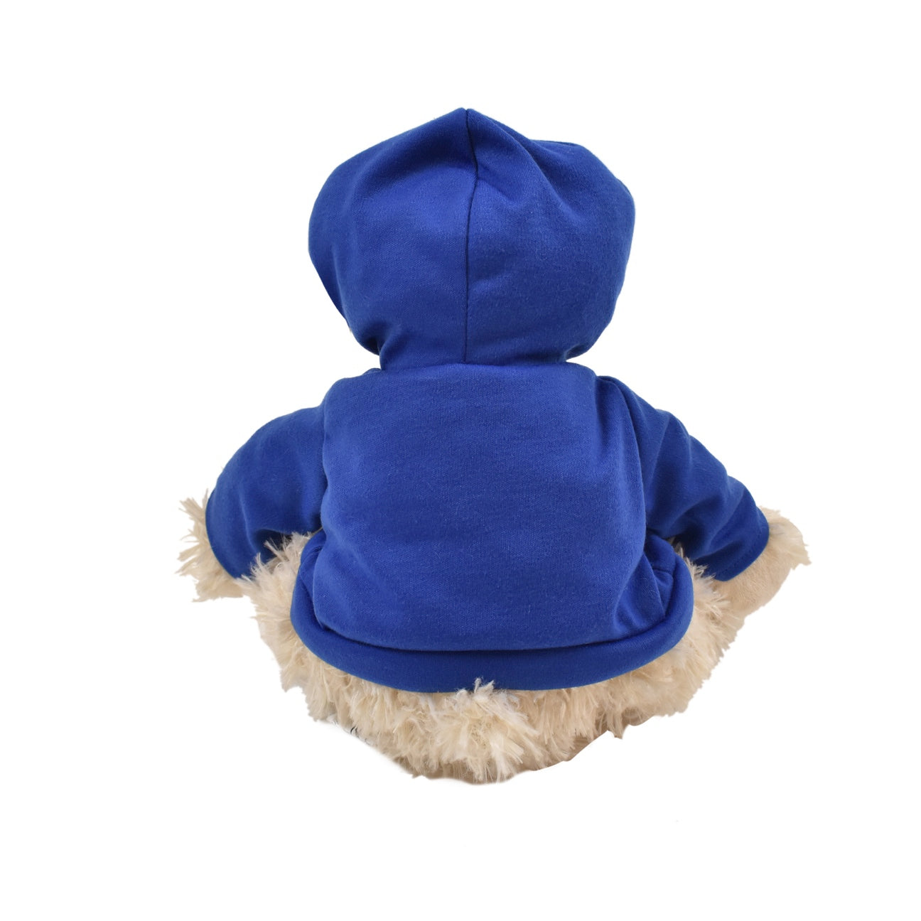 11" Mokey Bear with Salmon Hoodie