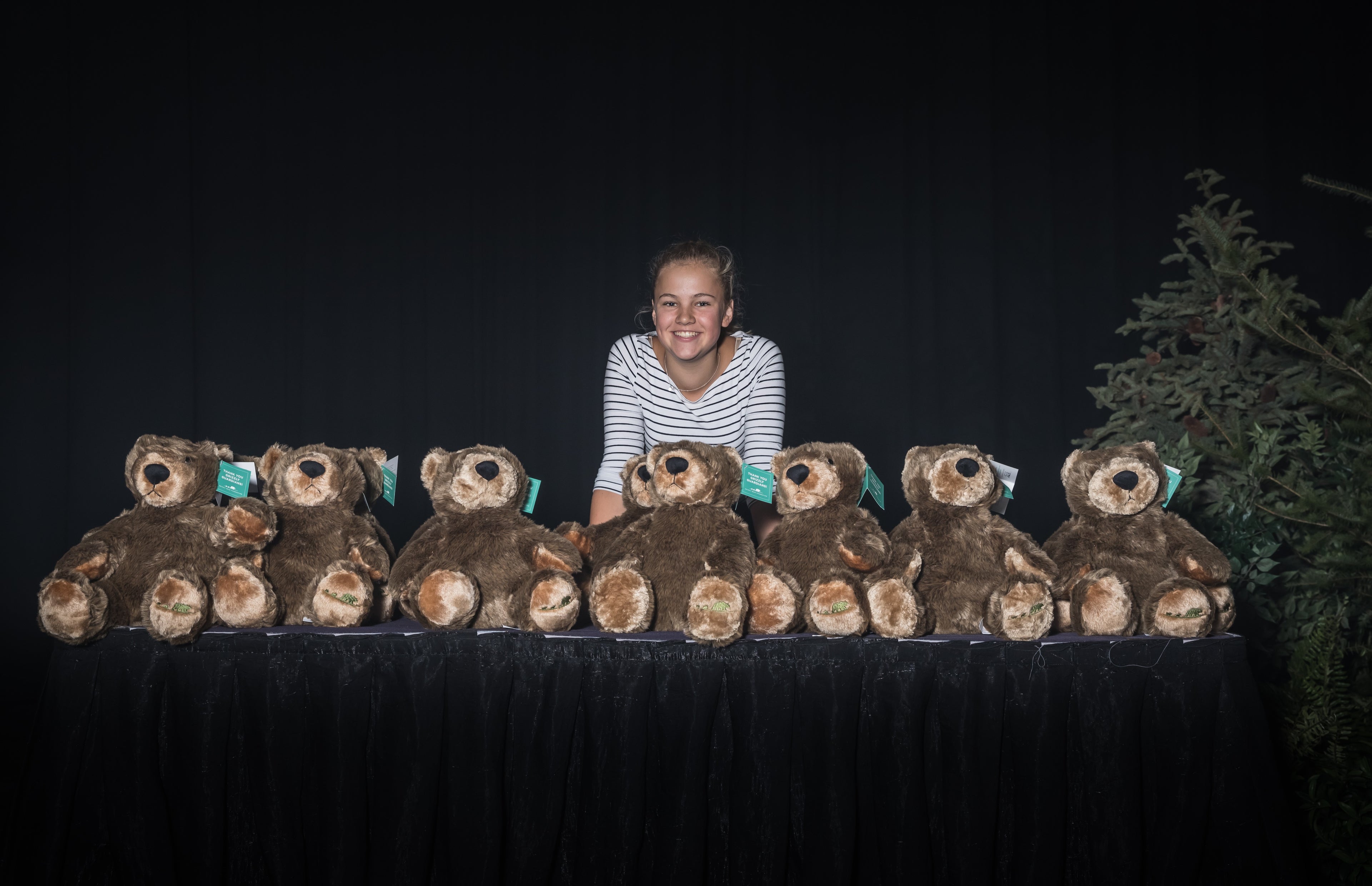 Grizzly Bear Foundation Fundraising Bear