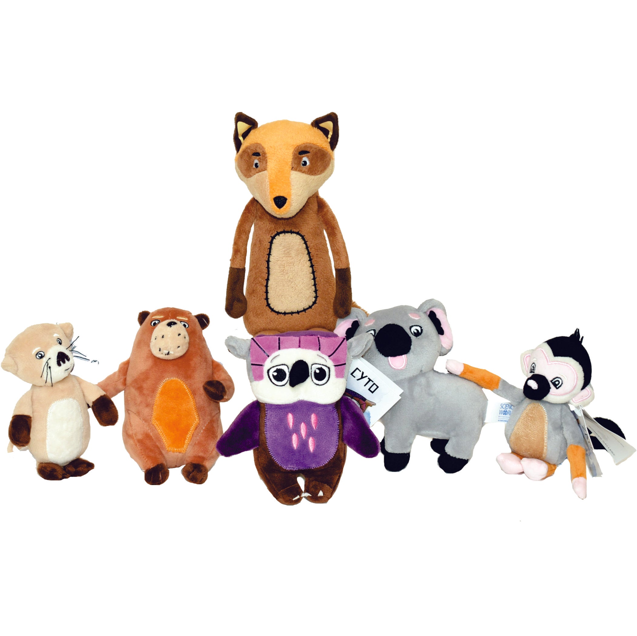 Wonder Gallery Series - Telus World of Science