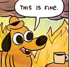 This is Fine Dog