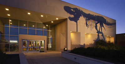 Museum of the Rockies Dinosaur Mascot